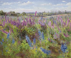 Delphiniums ve Gelincikler, 1991